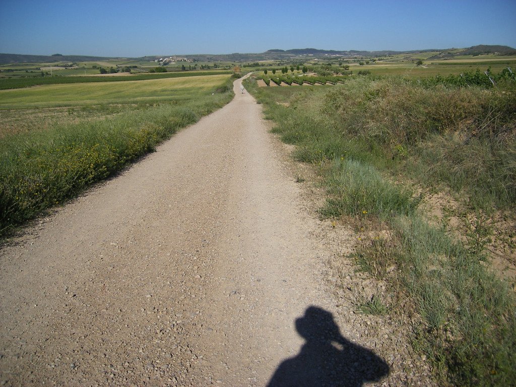 El camino y la sombra del peregrino