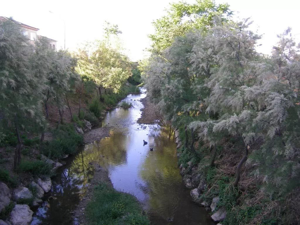 Río Odrón. Afluente del Ebro.