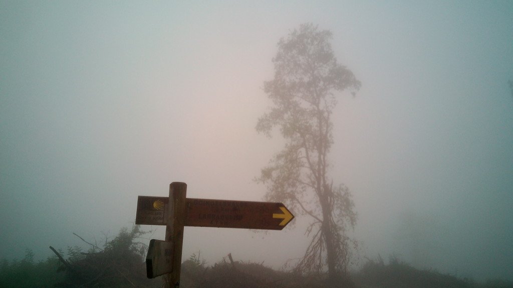 Una señal en la niebla