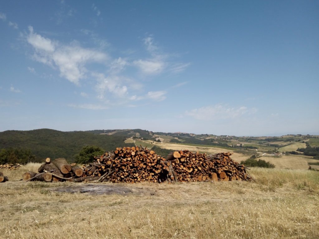 Pilas de madera cortada junto al camino