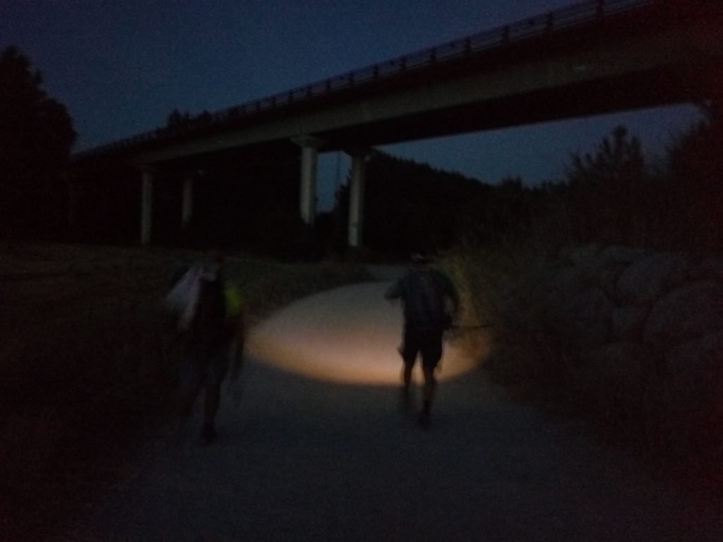 Caminando de noche
