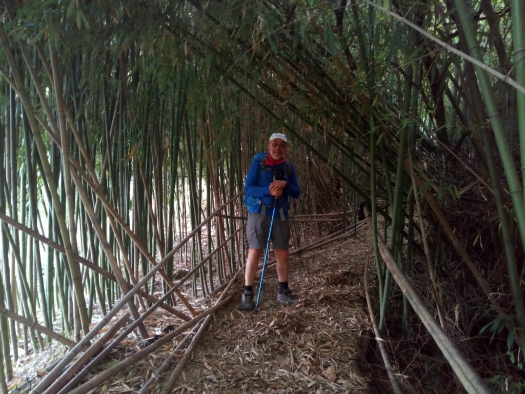 Enrique entre cañas de bambú