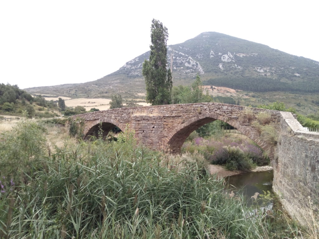 Puente muy cerca de Monreal